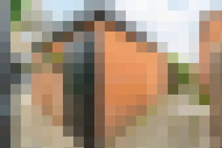 Clusiusweg 78 Noordwijk thumbnail 38