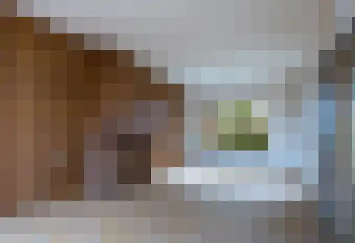Cluysenaerstraat 17 Landgraaf thumbnail 9