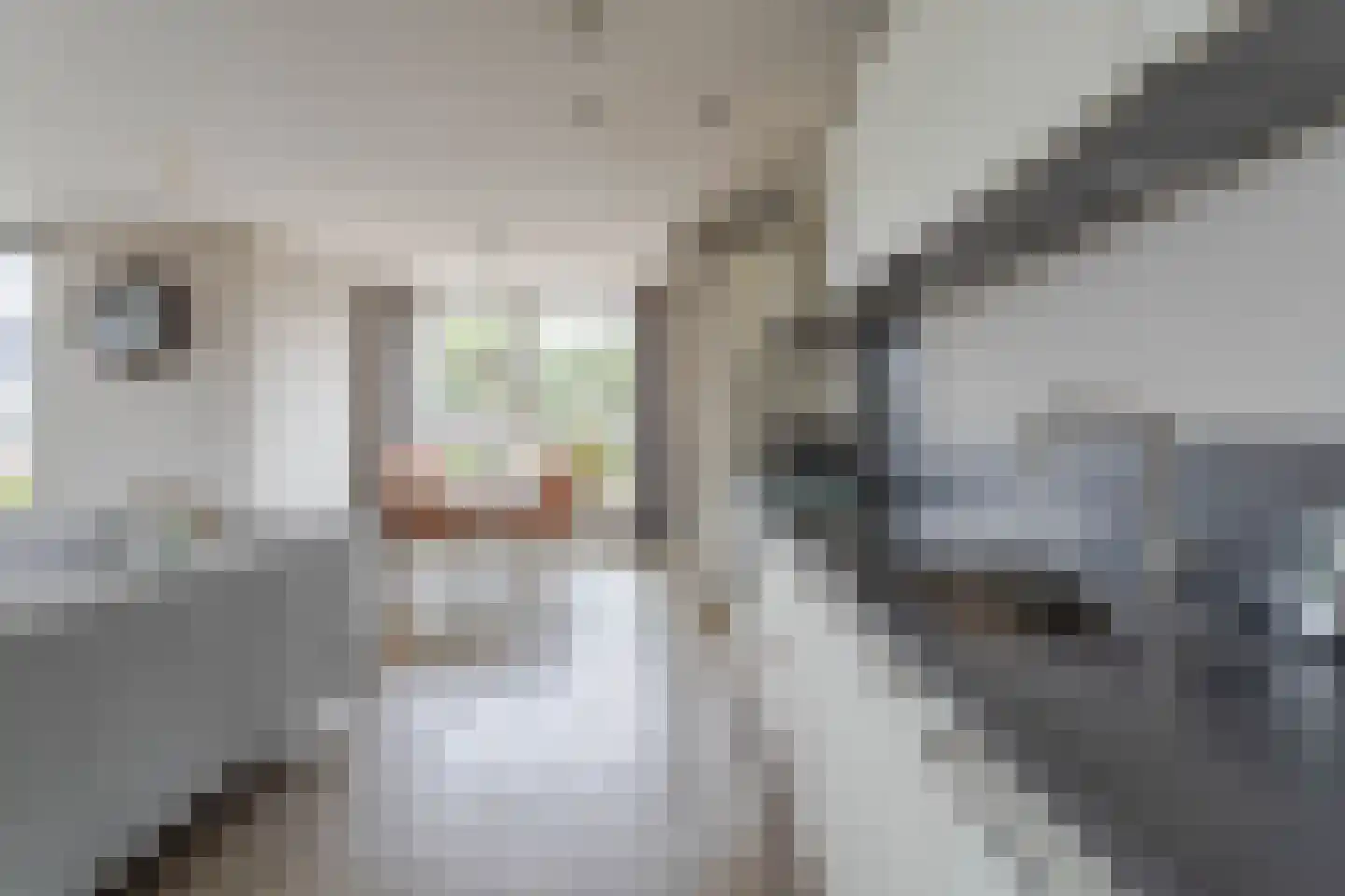 Cluytstraat 43 Boskoop thumbnail 6
