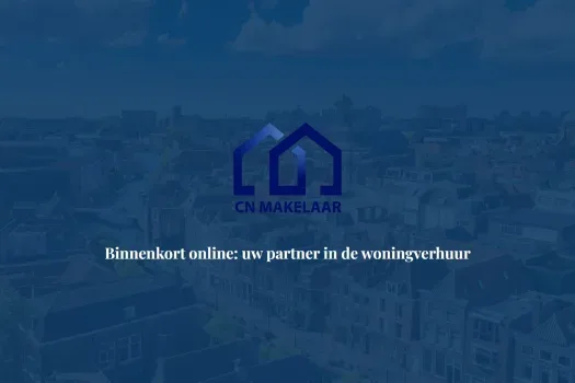 Screenshot van de website van www.cnmakelaar.nl