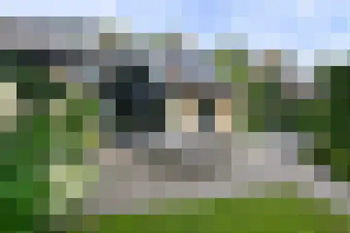 Co Bremanlaan 22 Laren thumbnail 11