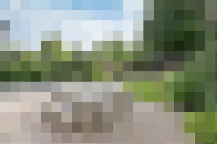 Co Bremanlaan 22 Laren thumbnail 13