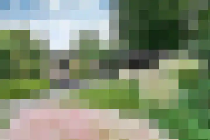 Co Bremanlaan 22 Laren thumbnail 14