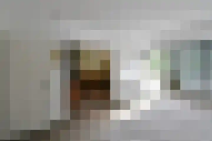 Co Bremanlaan 22 Laren thumbnail 18