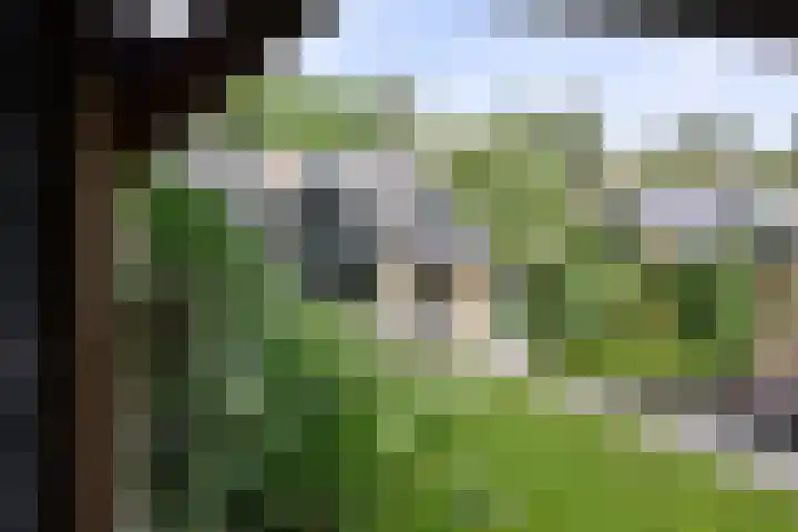 Co Bremanlaan 22 Laren thumbnail 26