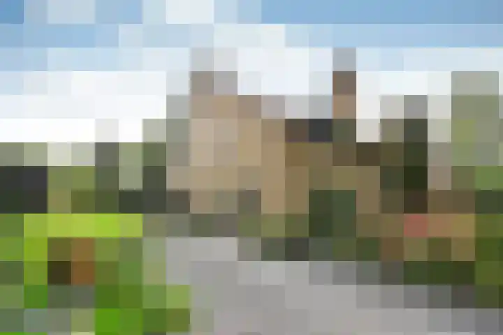 Co Bremanlaan 22 Laren thumbnail 35