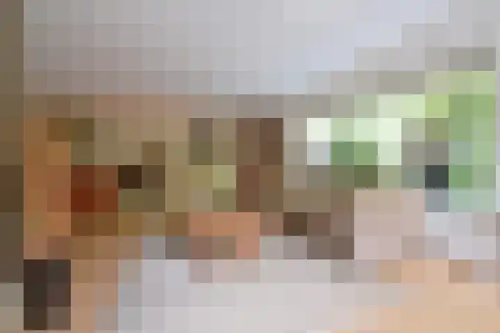 Co Bremanlaan 22 Laren thumbnail 4