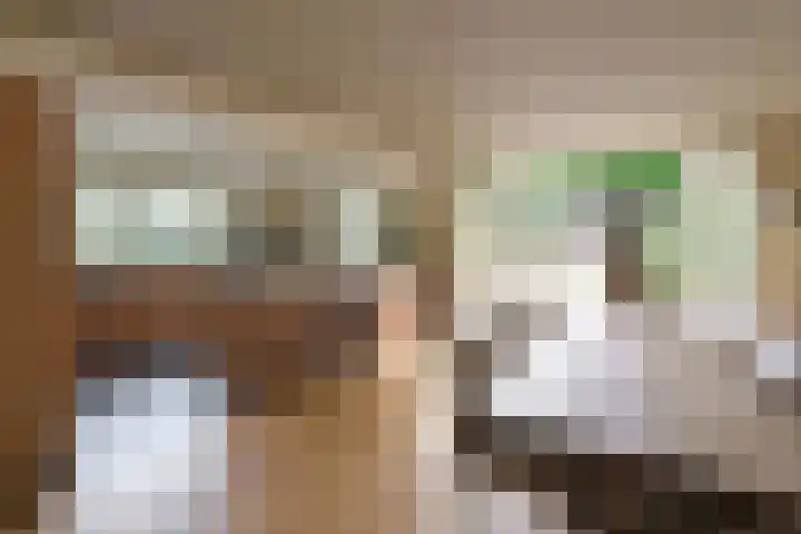 Co Bremanlaan 22 Laren thumbnail 8