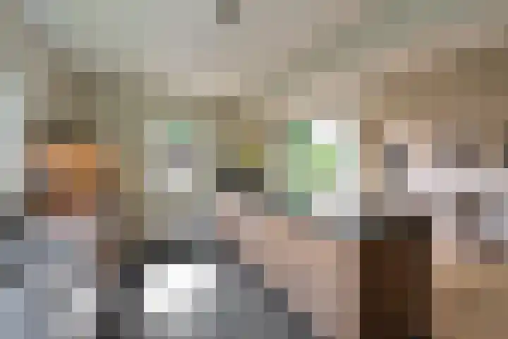 Co Bremanlaan 22 Laren thumbnail 9