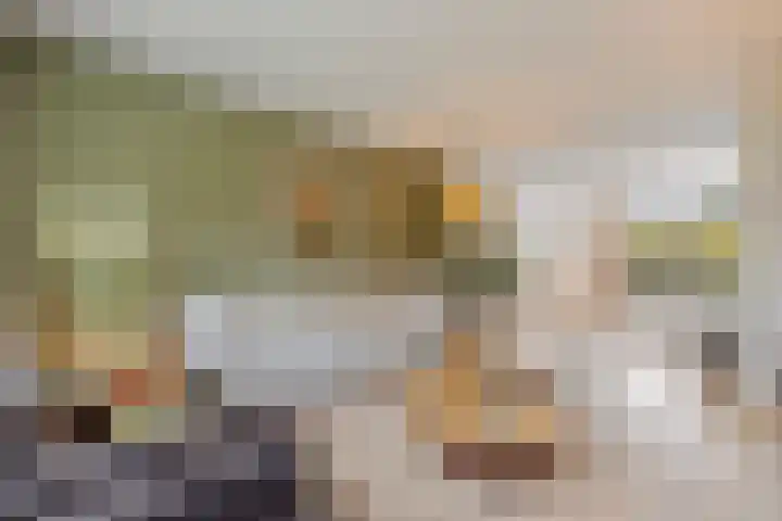Co Bremanlaan 4 Laren thumbnail 11