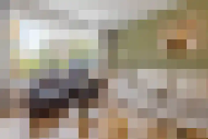 Co Bremanlaan 4 Laren thumbnail 12