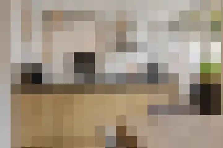 Co Bremanlaan 4 Laren thumbnail 20