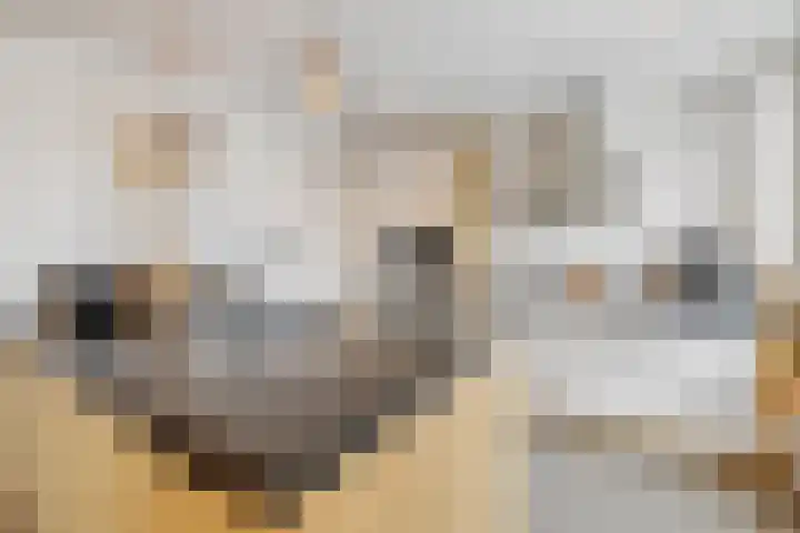 Co Bremanlaan 4 Laren thumbnail 22
