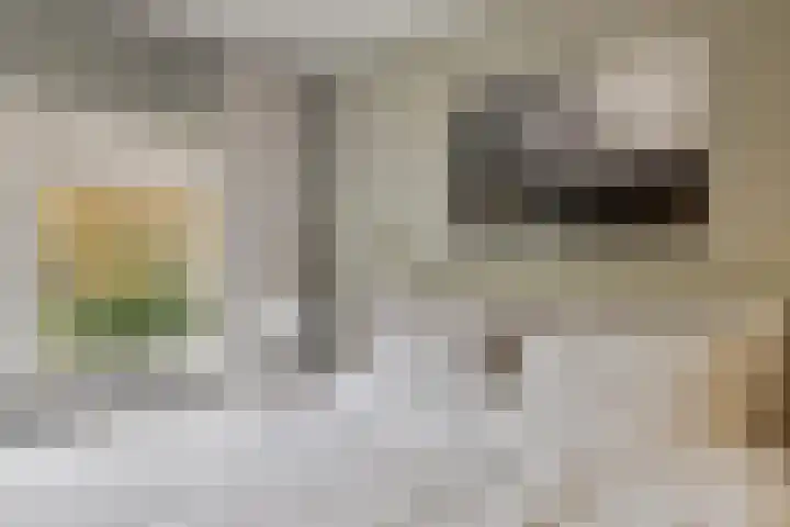 Co Bremanlaan 4 Laren thumbnail 29