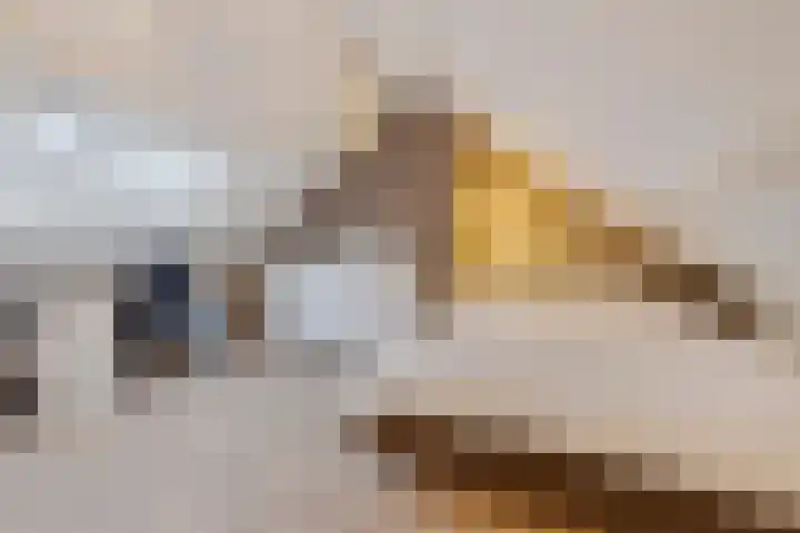 Co Bremanlaan 4 Laren thumbnail 38