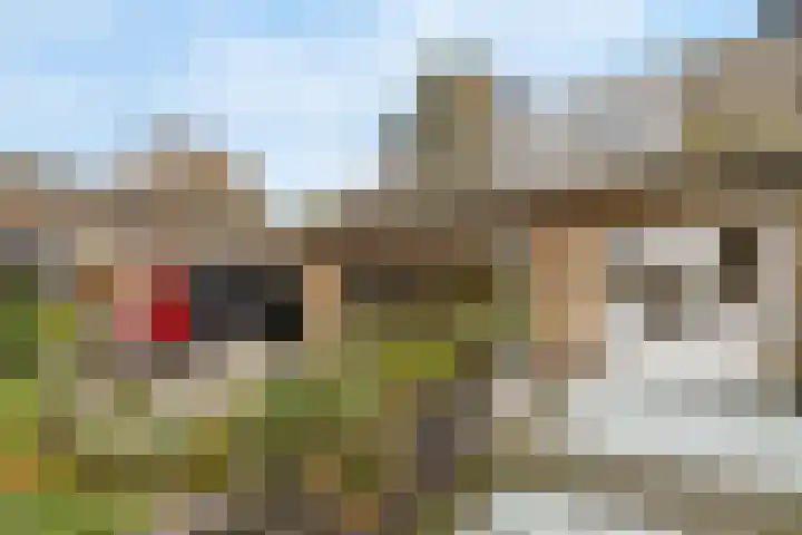 Co Bremanlaan 4 Laren thumbnail 48