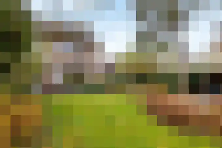 Co Bremanlaan 4 Laren thumbnail 6
