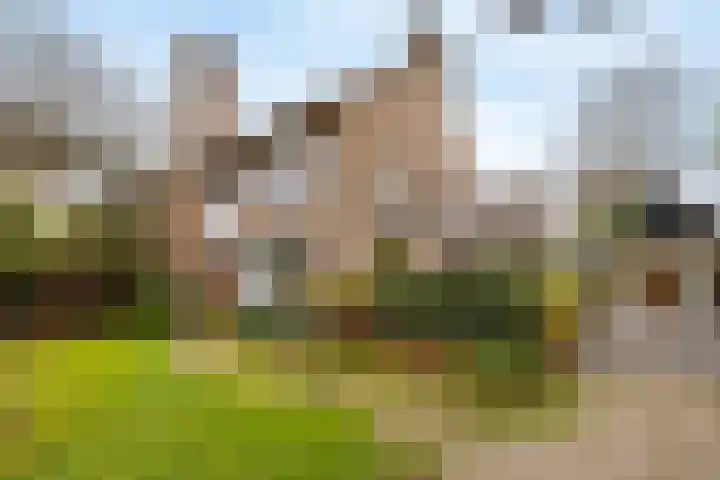 Co Bremanlaan 4 Laren thumbnail 7