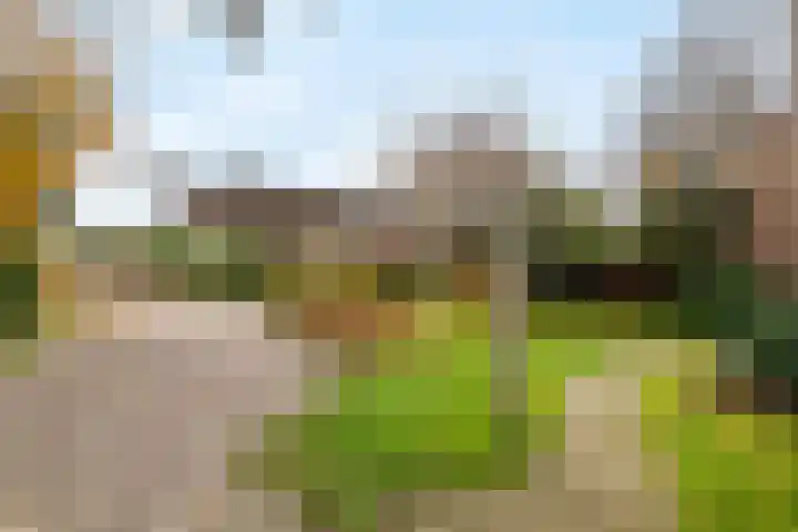 Co Bremanlaan 4 Laren thumbnail 8
