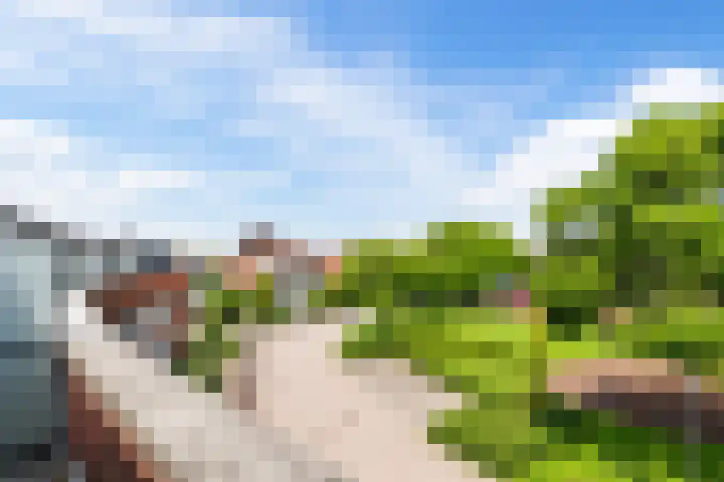 Cob Balkplein 40 Cothen thumbnail 47