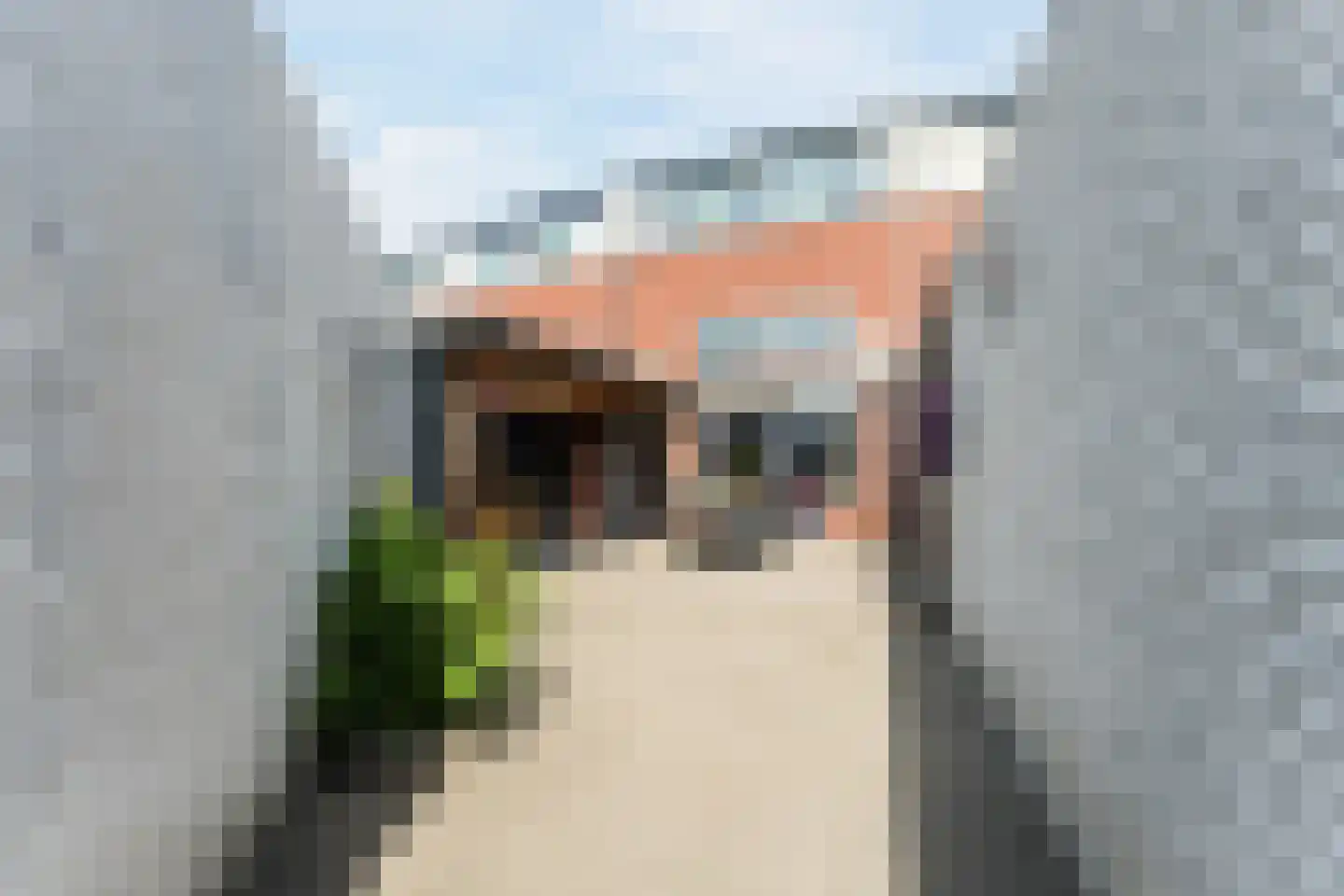 Cob Balkplein 40 Cothen thumbnail 55