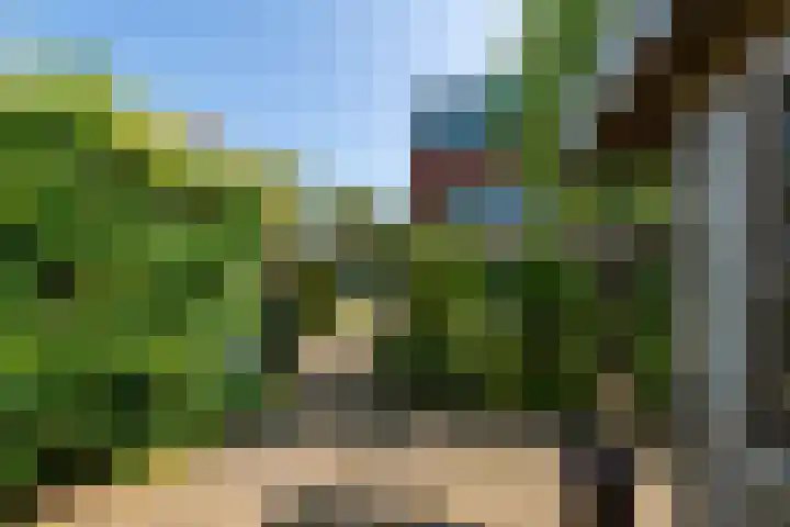 Cob Balkplein 46 Cothen thumbnail 36