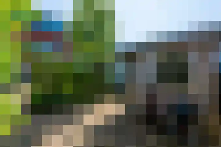 Cob Balkplein 46 Cothen thumbnail 37