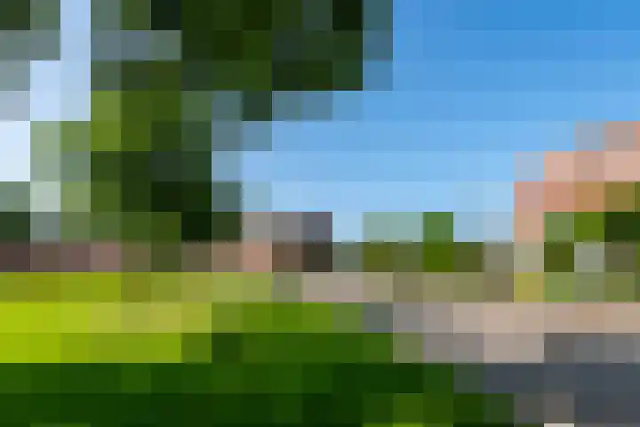 Cob Balkplein 46 Cothen thumbnail 46