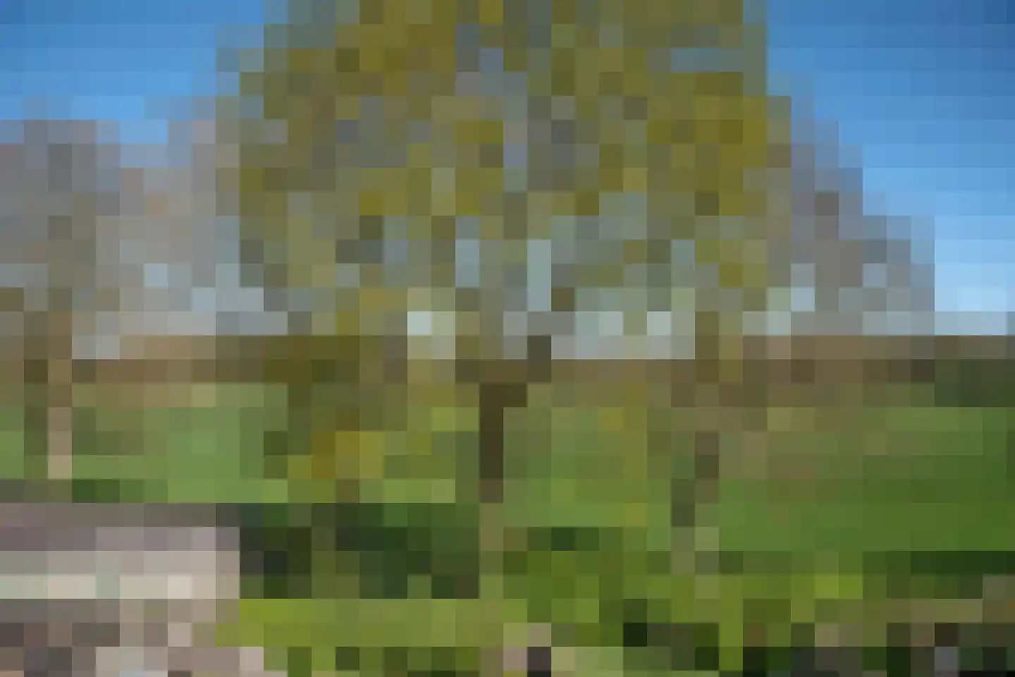 Coba Kellingstraat 96 Hengelo thumbnail 32