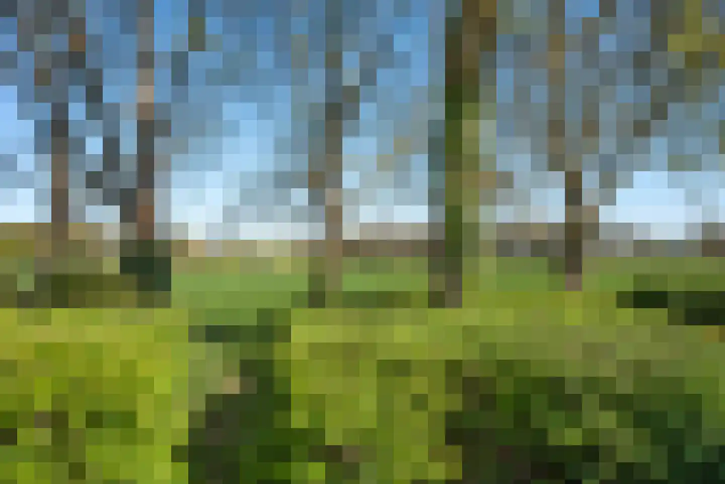 Coba Kellingstraat 96 Hengelo thumbnail 35