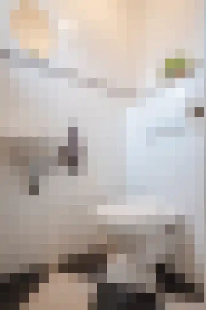 Coba Pulskenslaan 16 Tilburg thumbnail 15