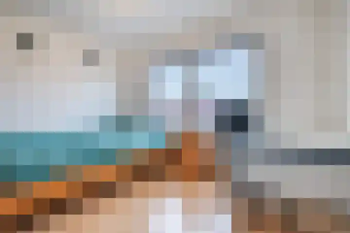 Coba Pulskenslaan 16 Tilburg thumbnail 17