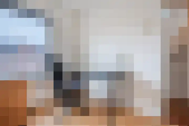 Coba Pulskenslaan 16 Tilburg thumbnail 18
