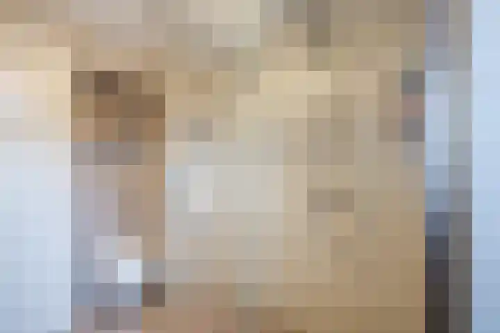 Coba Pulskenslaan 16 Tilburg thumbnail 20
