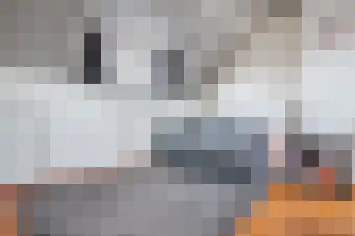 Coba Pulskenslaan 16 Tilburg thumbnail 24
