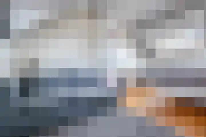 Coba Pulskenslaan 16 Tilburg thumbnail 25