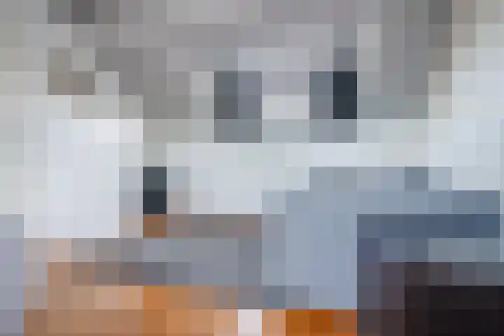 Coba Pulskenslaan 16 Tilburg thumbnail 26