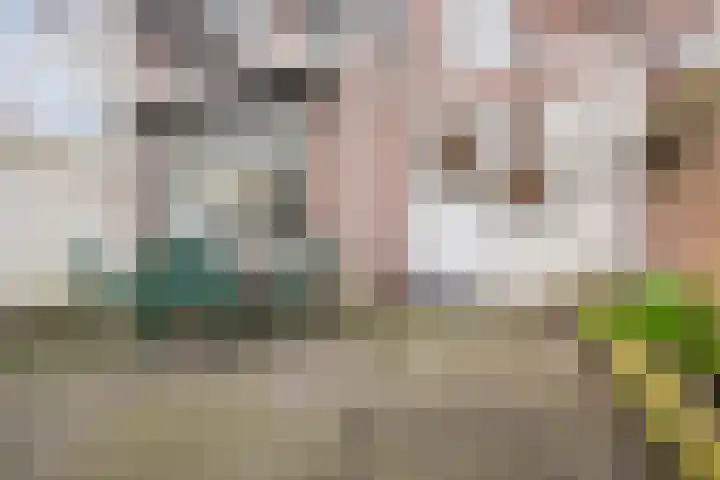 Coba Pulskenslaan 16 Tilburg thumbnail 30
