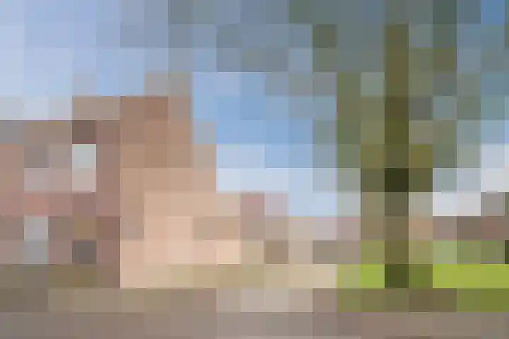 Coba Pulskenslaan 16 Tilburg thumbnail 35