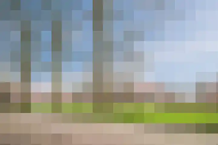 Coba Pulskenslaan 16 Tilburg thumbnail 36