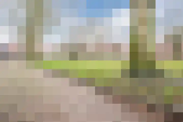 Coba Pulskenslaan 16 Tilburg thumbnail 37