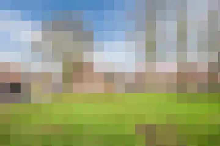 Coba Pulskenslaan 16 Tilburg thumbnail 38