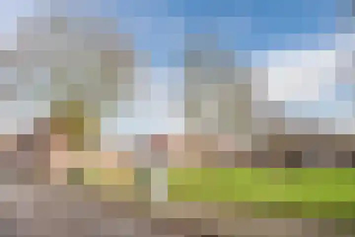Coba Pulskenslaan 16 Tilburg thumbnail 39