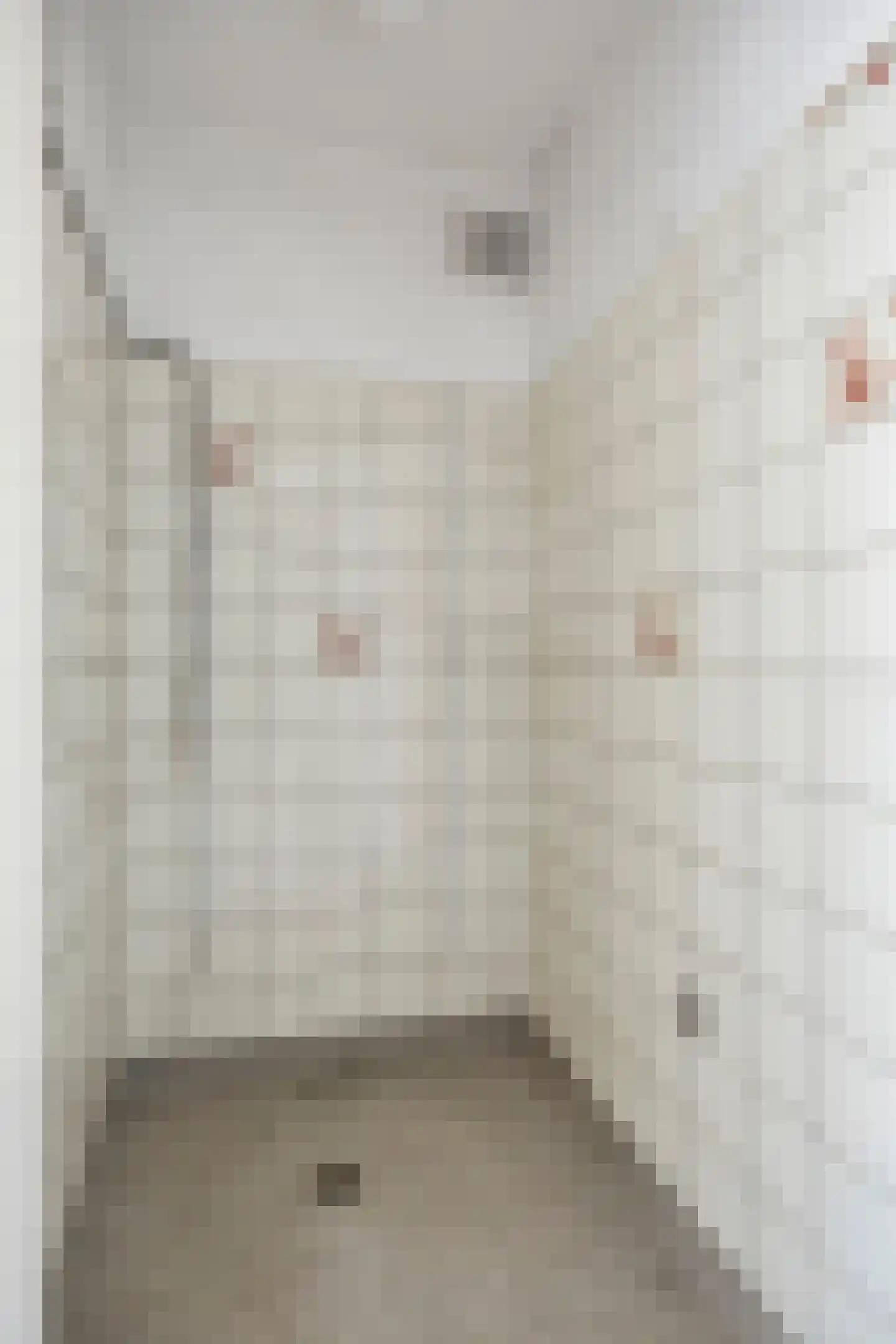 Coba Pulskensstraat 5 Den Bosch thumbnail 16