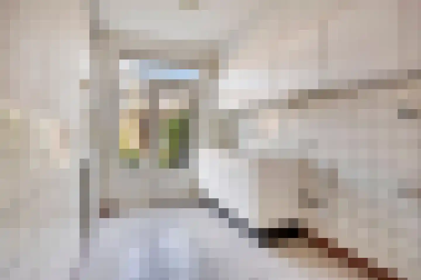 Coba Pulskensstraat 5 's-Hertogenbosch thumbnail 12
