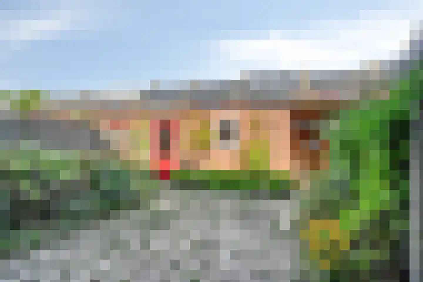 Coba Pulskensstraat 5 's-Hertogenbosch thumbnail 28