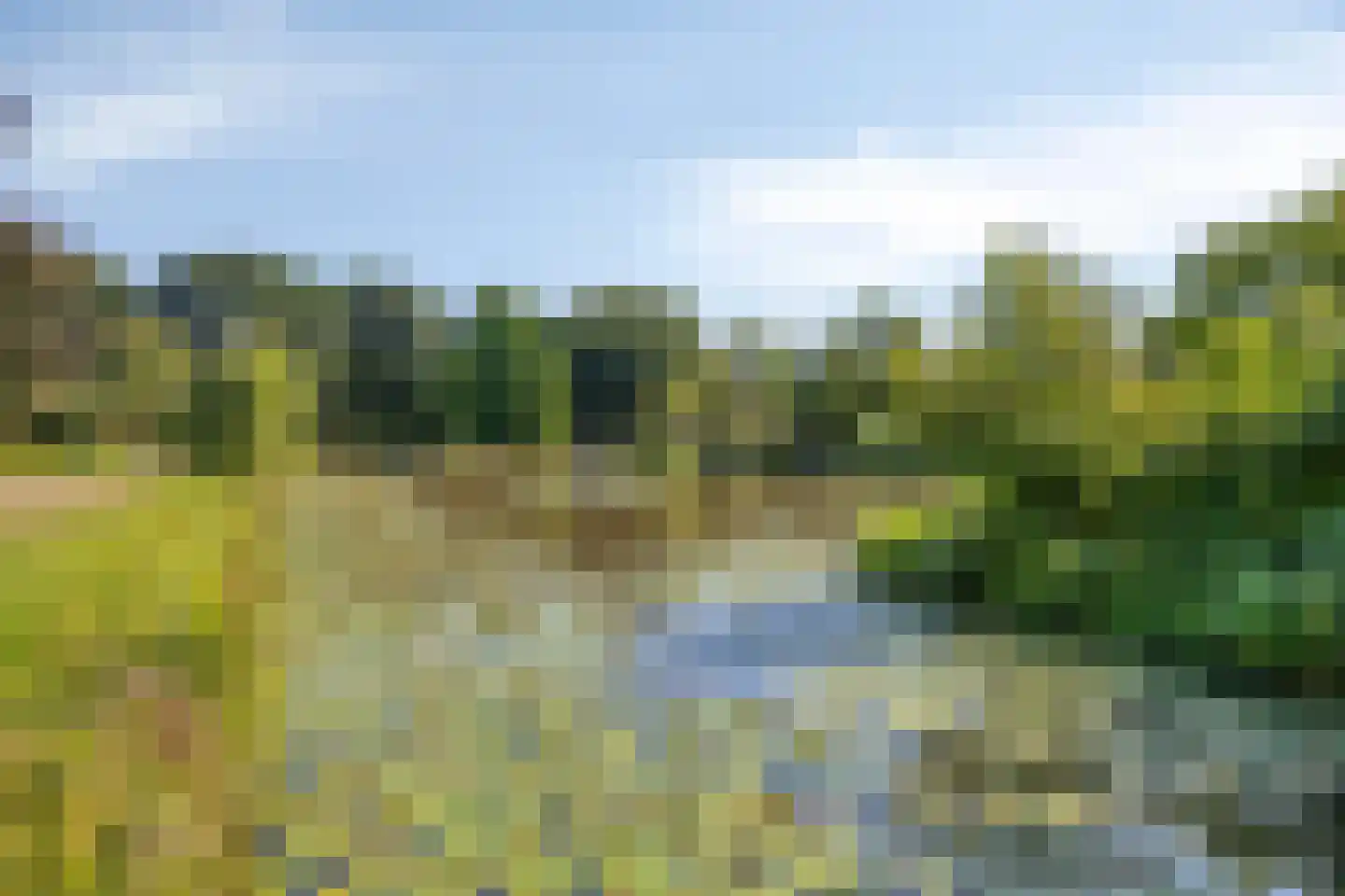 Coba Pulskensstraat 5 's-Hertogenbosch thumbnail 30