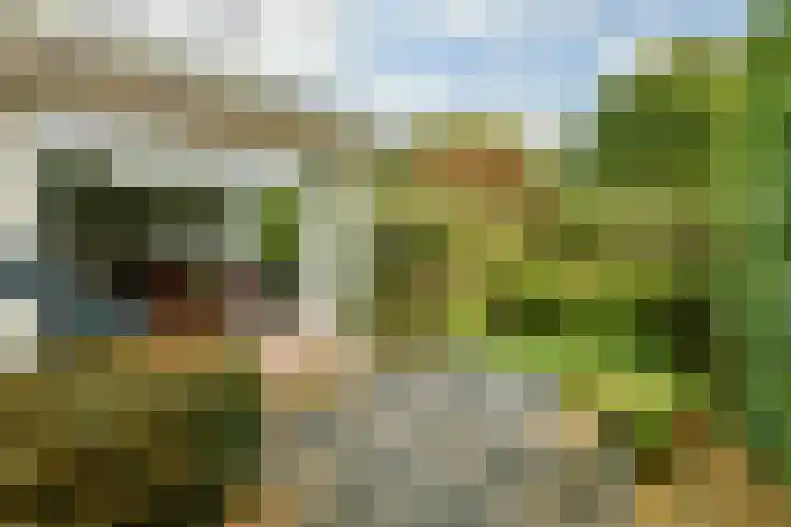 Coba Ritsemahof 11 Amstelveen thumbnail 19