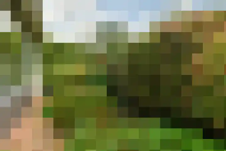Coba Ritsemahof 11 Amstelveen thumbnail 20