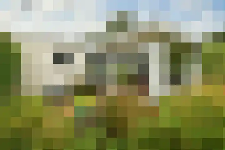 Coba Ritsemahof 11 Amstelveen thumbnail 21